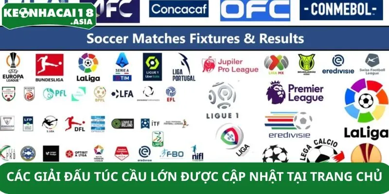 Các giải đấu túc cầu lớn được cập nhật tại trang chủ Các giải đấu túc cầu lớn được cập nhật tại trang chủ