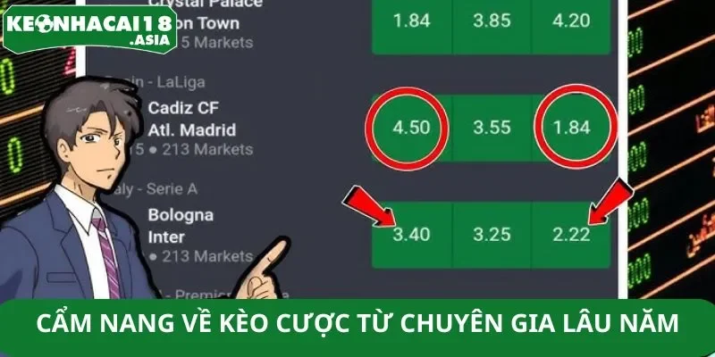 Cẩm nang về kèo cược từ chuyên gia lâu năm